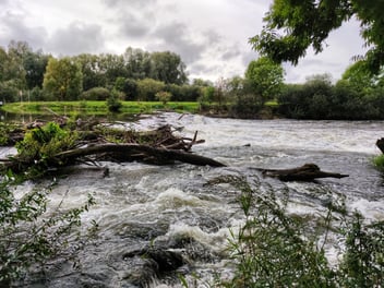 A flooded river after a recent storm