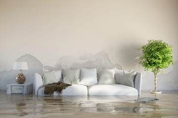 A Florida home is completely flooded after a disaster.