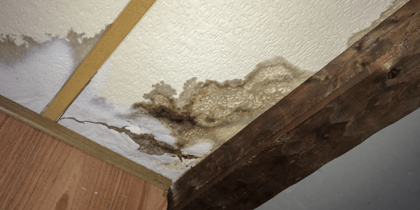 mold after water damage_ucs-1