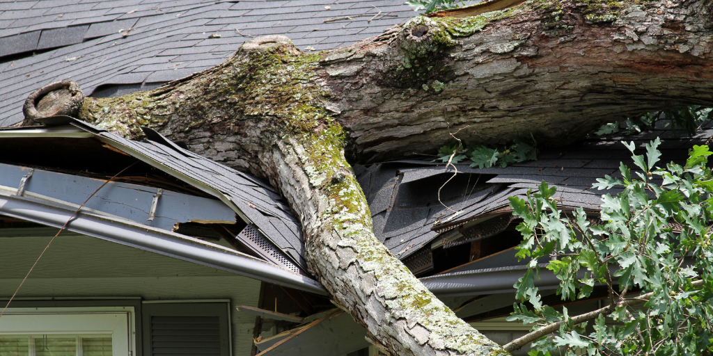 roof damage